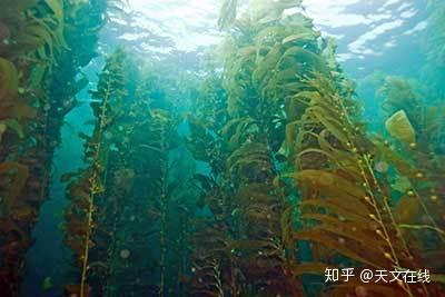 图解:艺术概念图的生长在水下的木星空中藻类