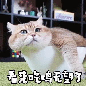 吃鸡专用动态表情包:可以带我躺鸡吗