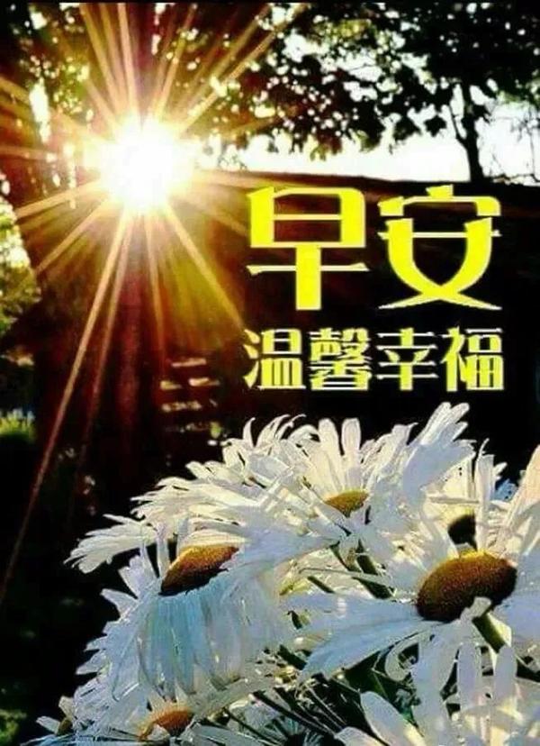 美女问候早安图片,最新版早上好漂亮图片大全