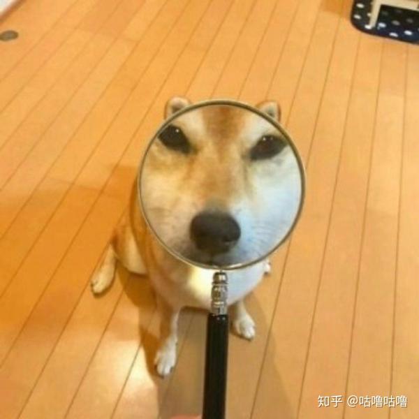 请求问下这个头像对应的猫的头像