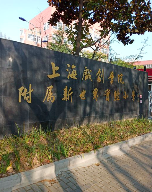 浦东新区新世界实验小学