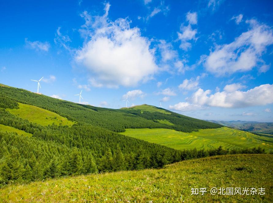 盼望了许久草原青绿一色坝上草原的夏天终于来了眼前的绿色越发浓郁