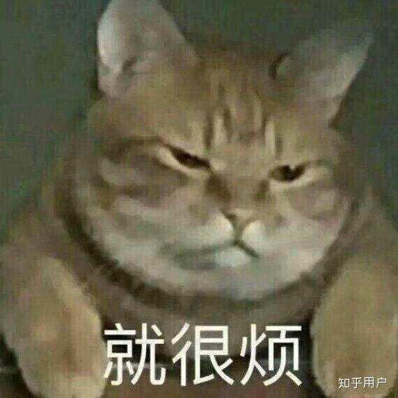 我真是……越了解越觉得窝火呢!