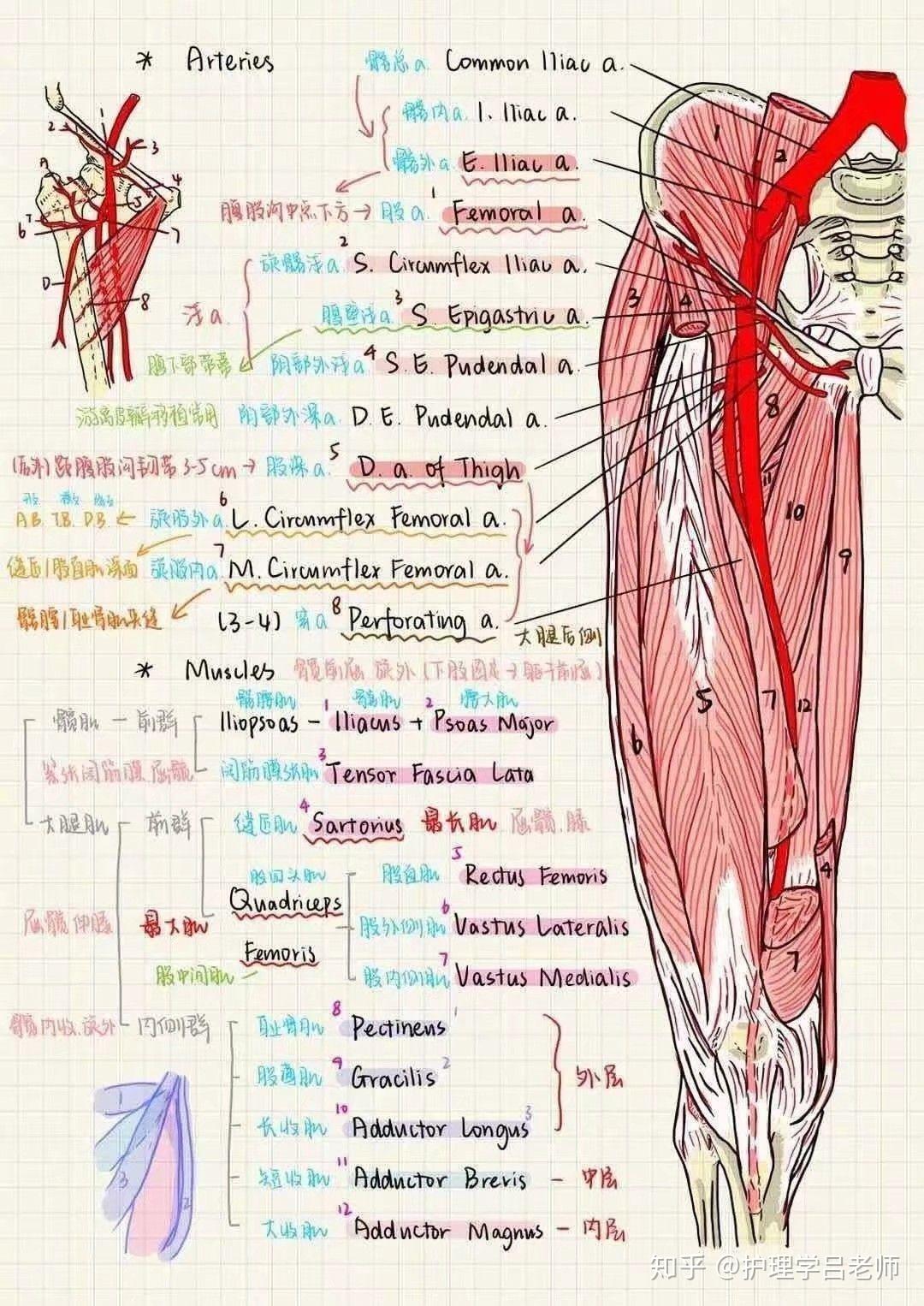 医学生专用壁纸安排