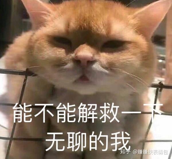 爆火表情包图片:没事,小场面