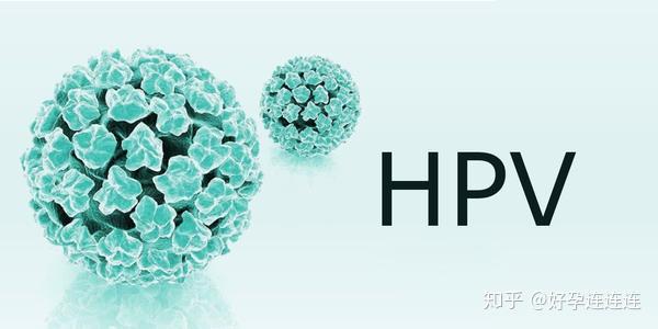 肛门癌等的增加,人乳头瘤病毒(hpv)