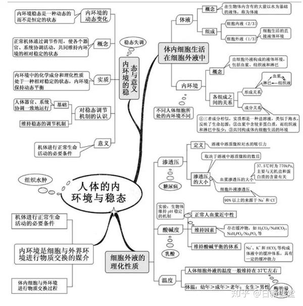 【干货】用思维导图的方式打开高中生物知识点,更有助