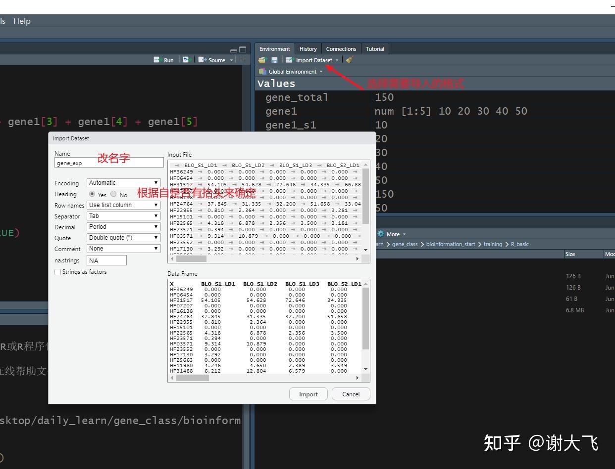 rstudio导入导出数据