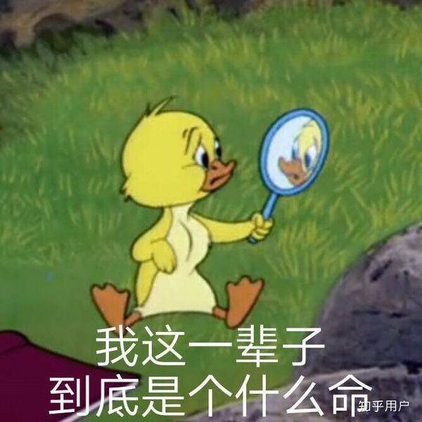 白天质问他,他丝毫不知道.