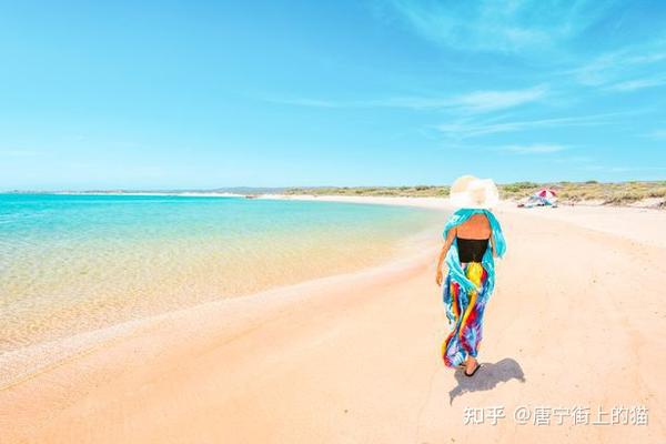 图片2021新图片海边,2021最美风景图片 猫途鹰评出2021全球最美海滩,美到窒息,你最想去哪一个?