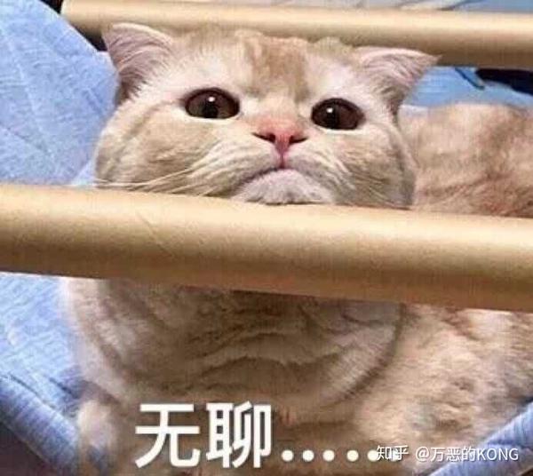 摸摸头表情包 - 知乎