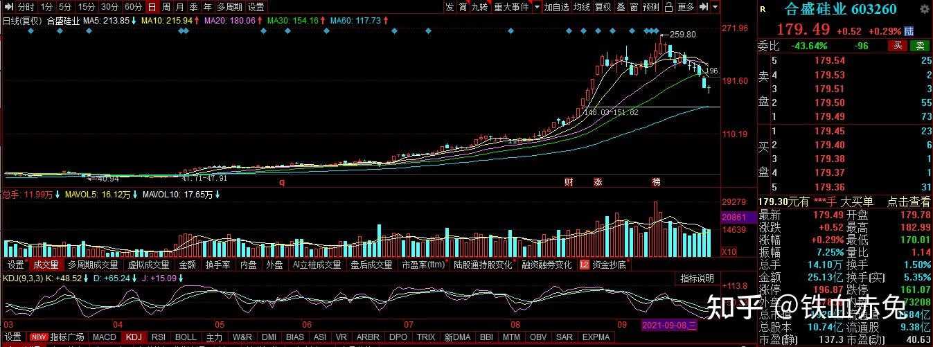 101个股点评合盛硅业东岳硅材晨化股份东方盛虹立昂微