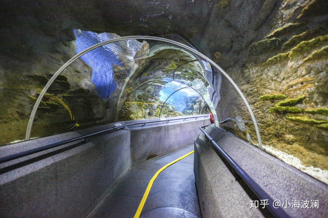 游览步道