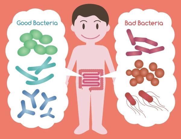 进食后腹泻出疹子一定是食物过敏吗