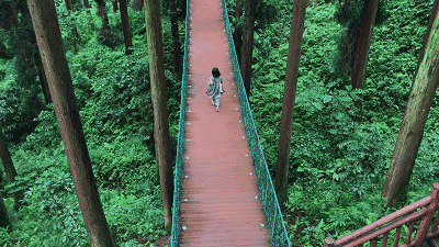 2018浙江衢州森林天空音乐节 | 狂野小森林 探险大梦境