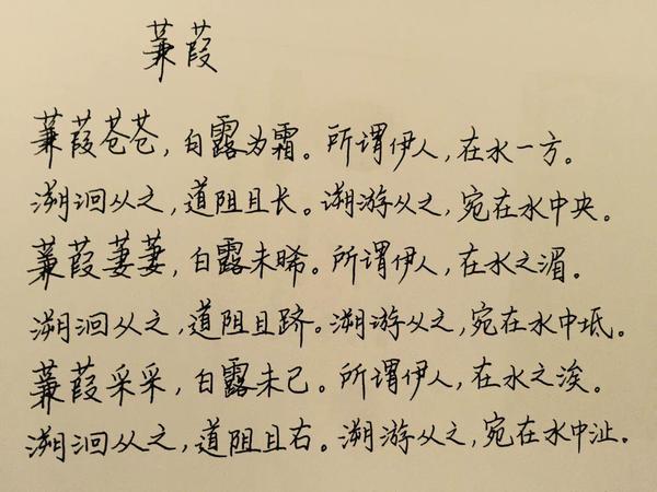 诗经《蒹葭》钢笔字笔友习作欣赏