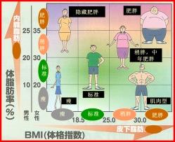 体脂率:身体脂肪量和体重的比值.正常范围:男性10%~20%女性1 8%~28%.