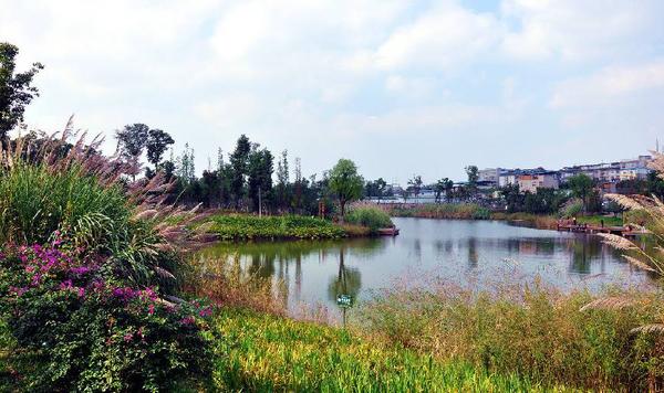 地址:新都香城湿地公园位于成都市新都区