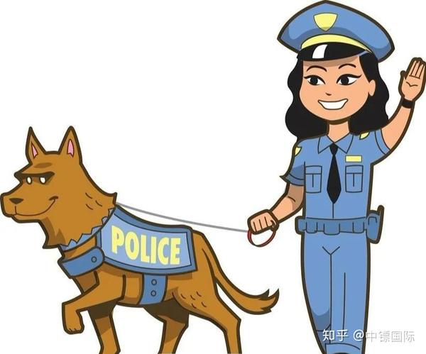 它就是犬类中独特的存在-工作犬