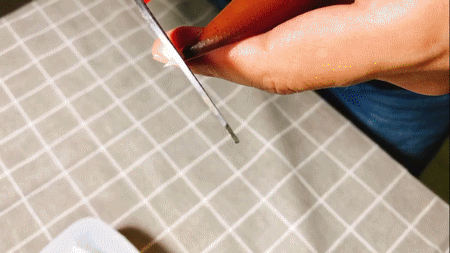 网红沙皮狗慕斯,我这么可爱,可不可以不要吃我?