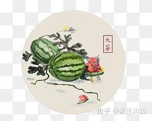 24节气大暑西瓜水墨画