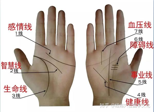 《七天学会手诊》掌纹十四线之一至七线