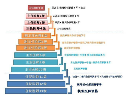 ④医生的级别