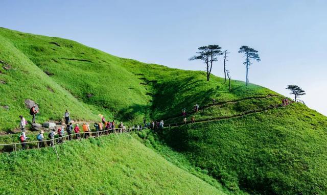 全球最大高山草甸不在内蒙也不在新疆夏季最高温度仅23