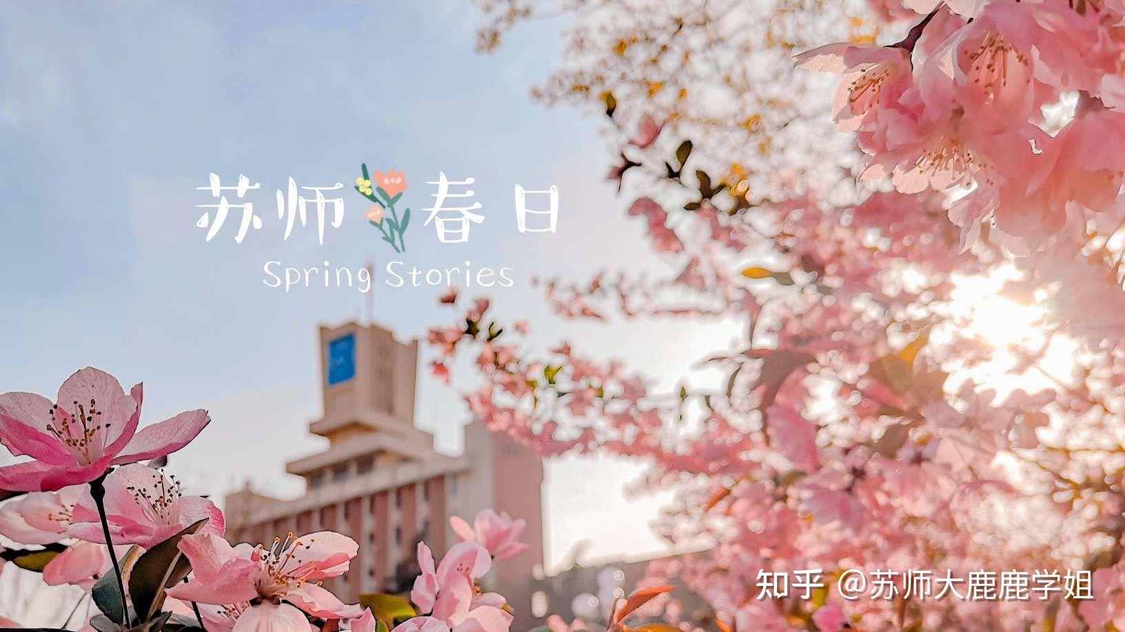 最新江苏师范大学绝美外景 知乎