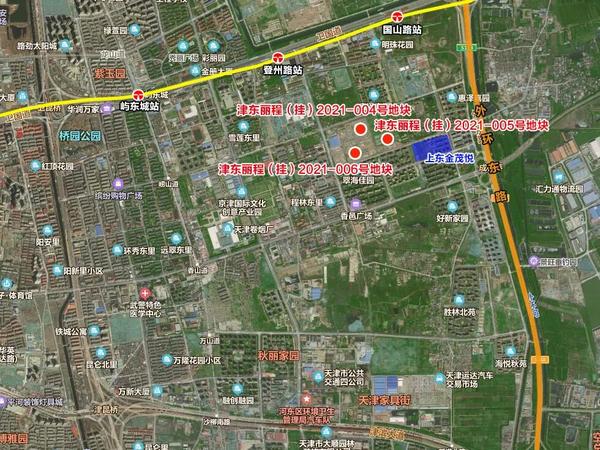 2021东丽新立规划图,东丽区最新道路规划图 津东丽程(挂)2021-005号地块
