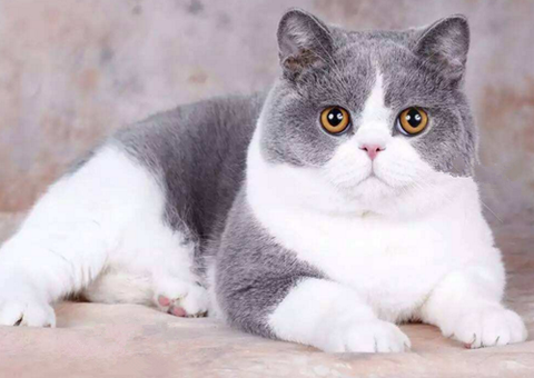 è
