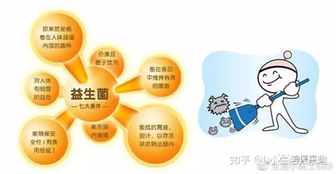 如何正确区分益生菌与益生元