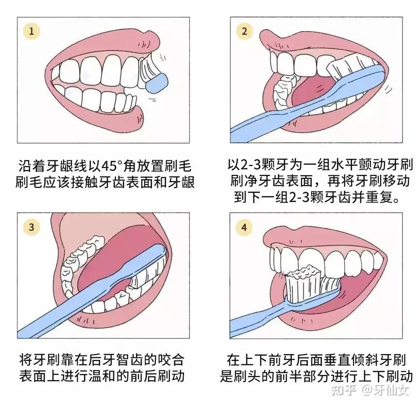 北京圣贝 | 怎样才能预防宝宝蛀牙?有这篇超实用干货就够了!