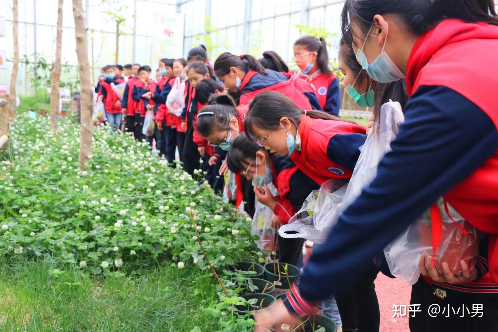 中国三大 自然教育研学基地 潍坊市中小学生劳动教育实践基地