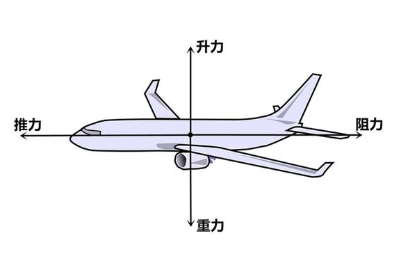 飞机的升力基本上是由机翼在空气中运动产生的.