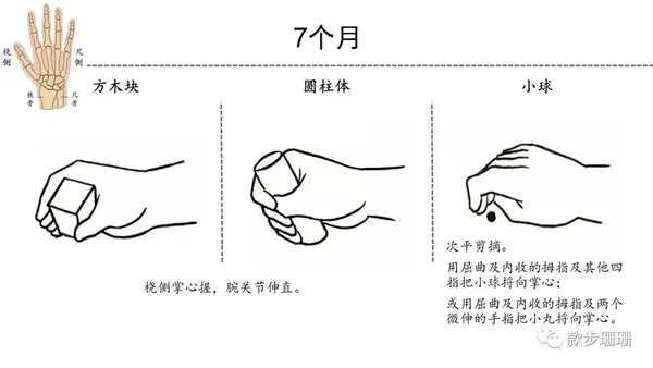 心灵手巧简单自测1岁内宝宝手部精细运动