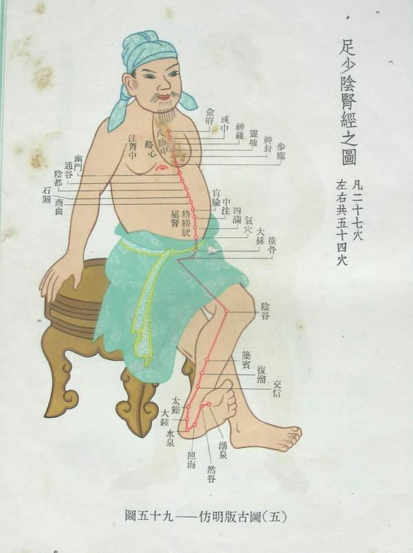 胃经,脾经,心经,小肠经,膀胱经,心包经,三焦经,胆经,而胳于肝经,再由
