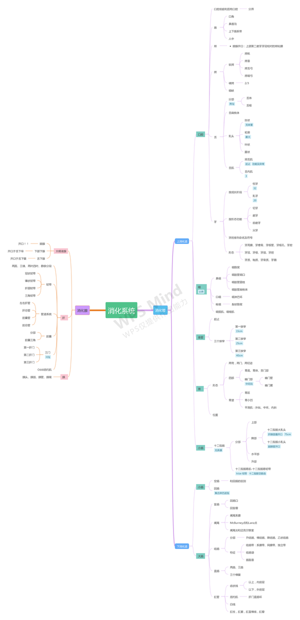 系统解剖学 | 消化系统 思维导图