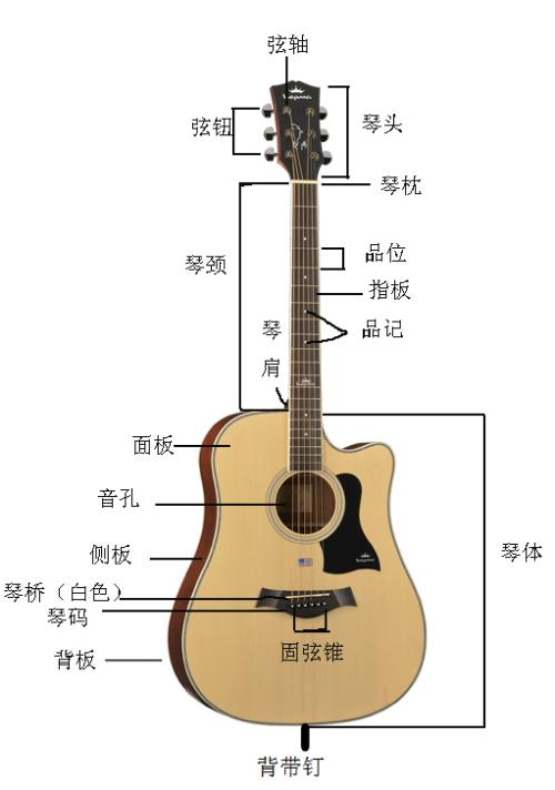 认识吉他一般吉他由三大部分组成:琴头,琴颈,琴箱,每个部分由不同构造