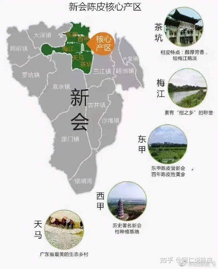 新会陈皮的四大核心产区梅江东甲天马茶坑