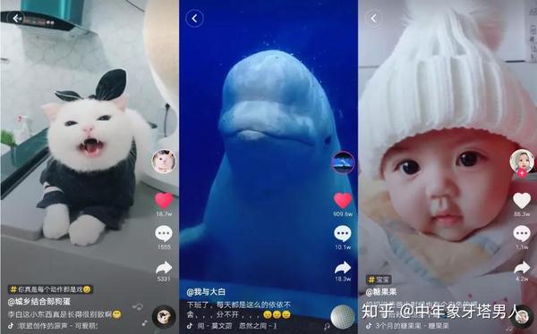 2020,什么抖音内容可以火