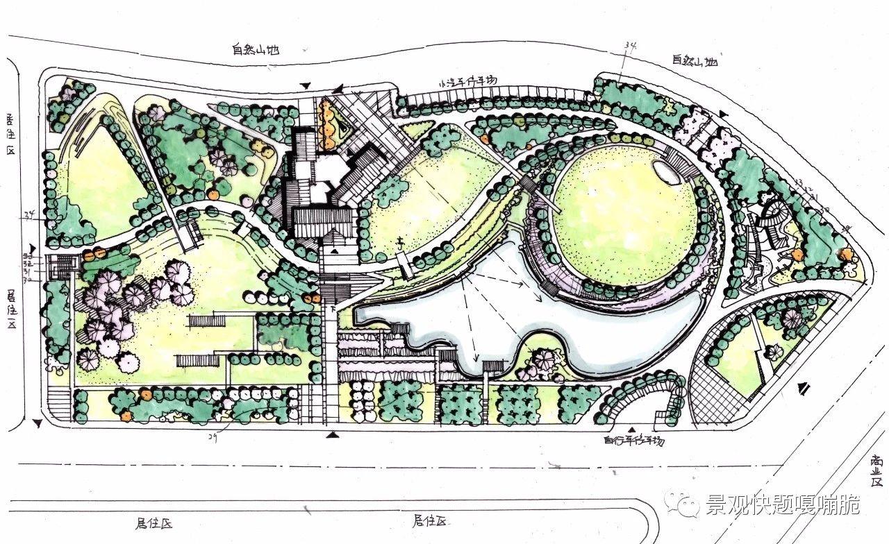 南农2020年真题解析城市街头绿地设计