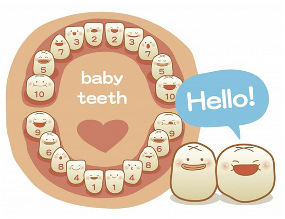 宝宝牙齿健康知多少,妈咪们一定要懂的乳牙保护方法!