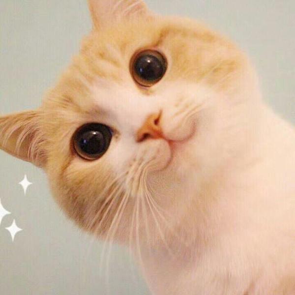 加油!  