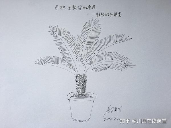 六.画出花盆,完成.