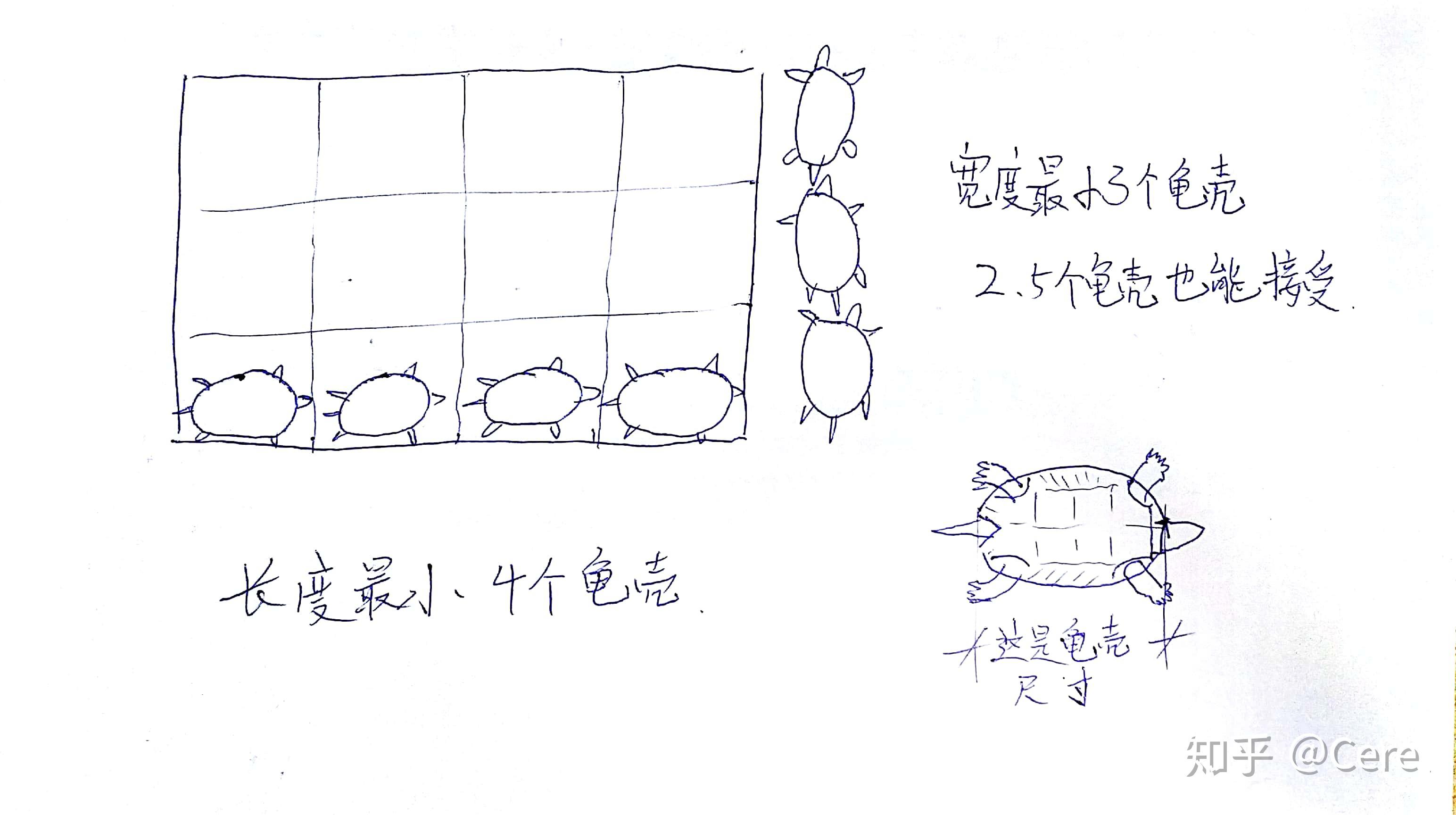 怎样养好一只龟