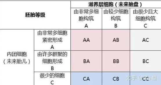 因此不难得出结论,在同等级别下,囊胚质量从优到劣的排列顺序应该是