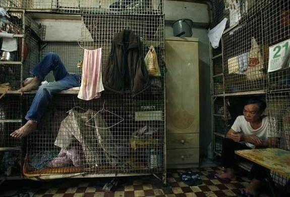 香港穷人的窒息生活:睡笼子,住垃圾堆,被富人疯狂吸血