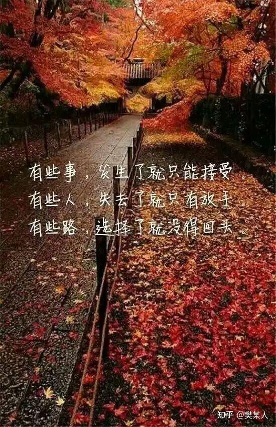 不惊不扰,各自安好
