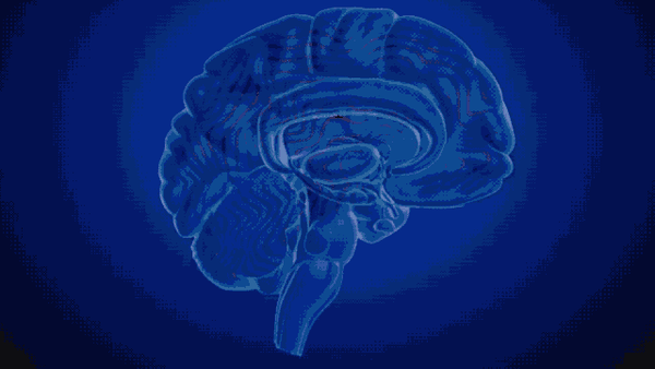 的精神疾病,尤其冰毒,摇头丸等苯丙胺类毒品会导致多巴胺奖赏回路异常